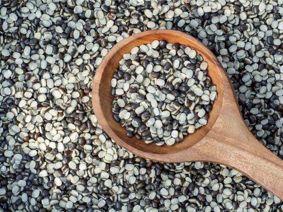 Fresh Grapes – Export Quality