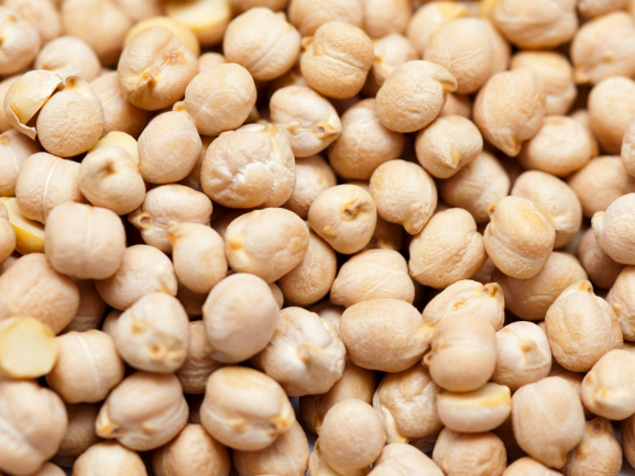 Premium Chickpeas Export
