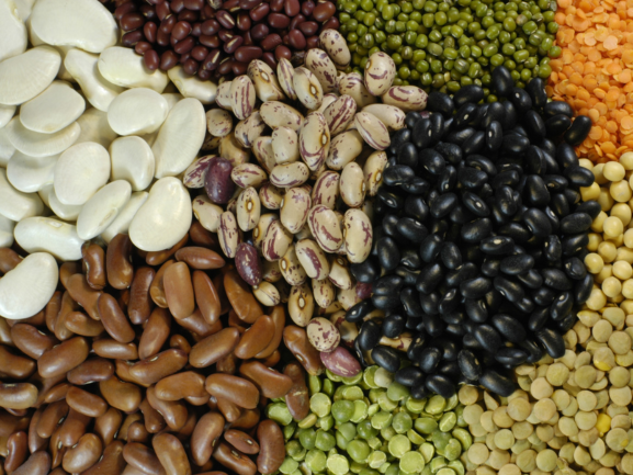 Chickpeas Packaging 2