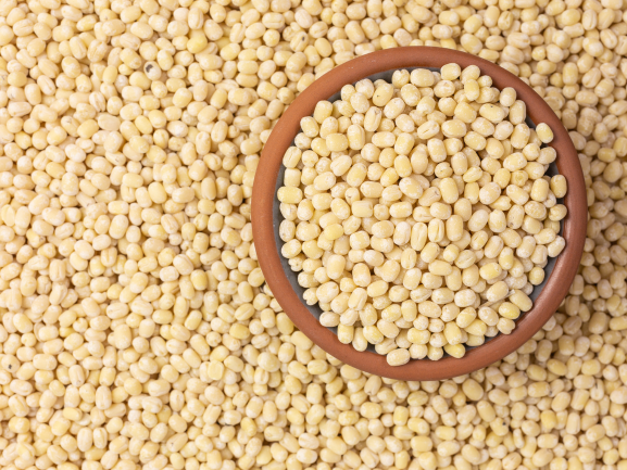 Urad Dal Maitrey Global