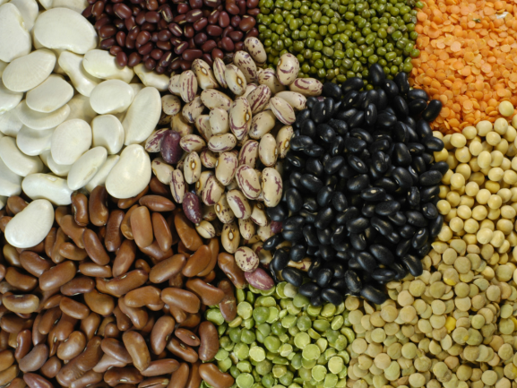 Other Pulses Maitrey Global