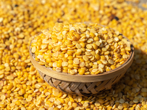 Organic Turmeric – High Curcumin