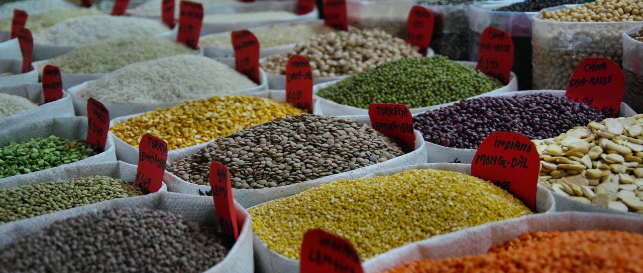 Maitrey Global Pulses Exporter